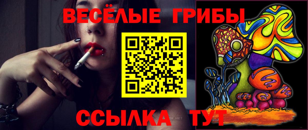 Псилоцибиновые грибы прущие грибы  Вход с VPN  Джанкой 